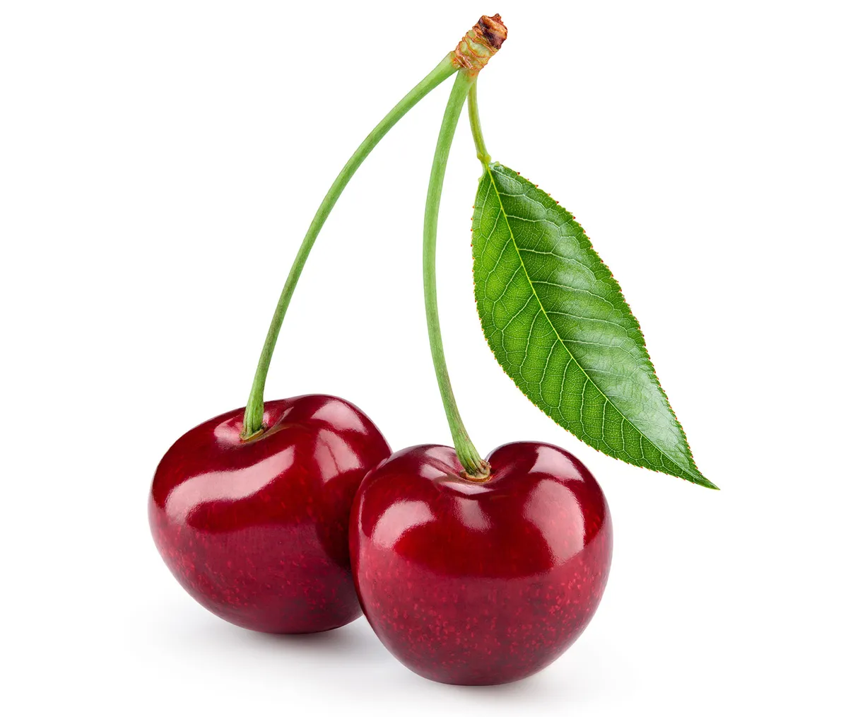 κεράσι — GR news