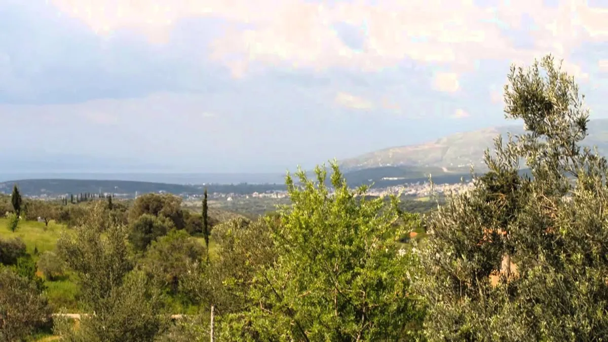 αλιβερι — GR news