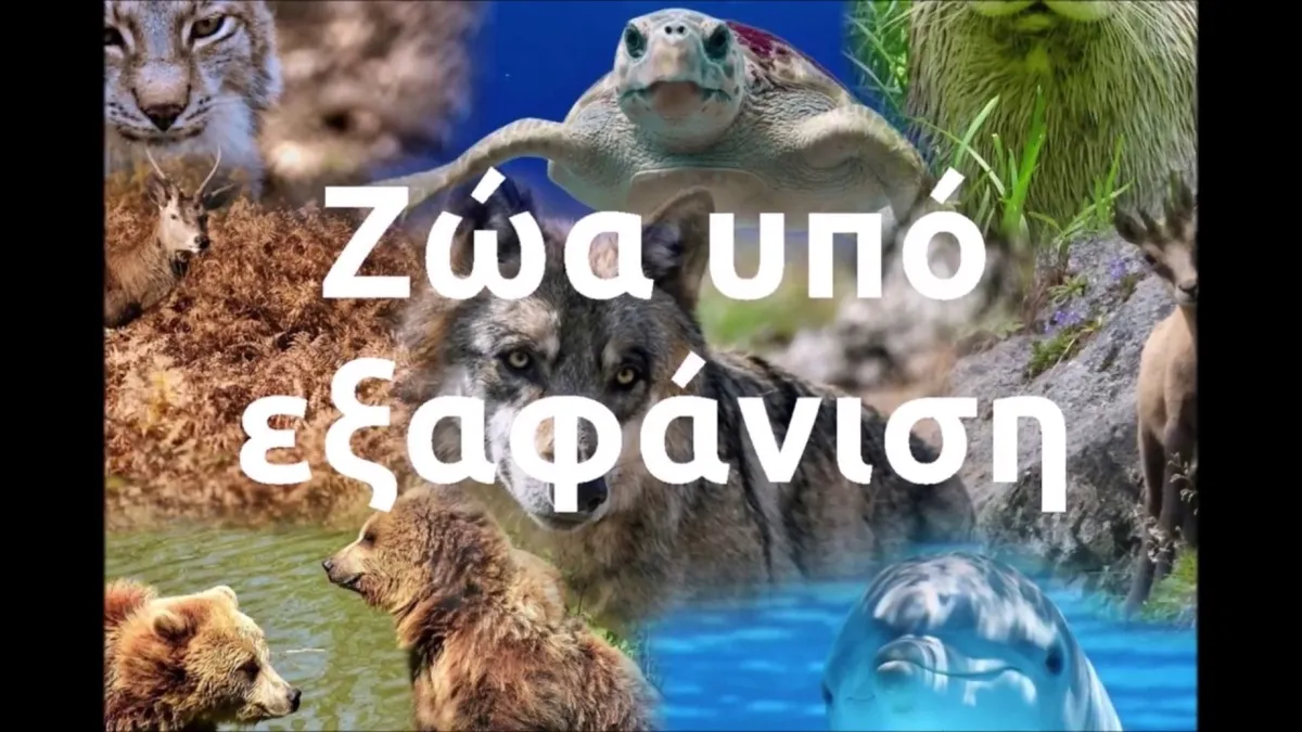 εξαφάνιση — GR news